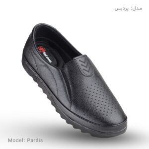 کفش مدل پردیس